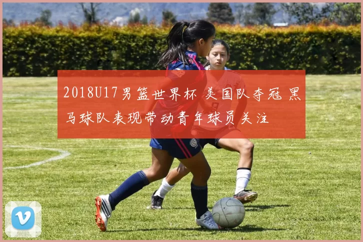 2018U17男篮世界杯 美国队夺冠 黑马球队表现带动青年球员关注