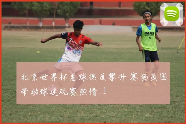 北京世界杯看球热度攀升 赛场氛围带动球迷观赛热情_1